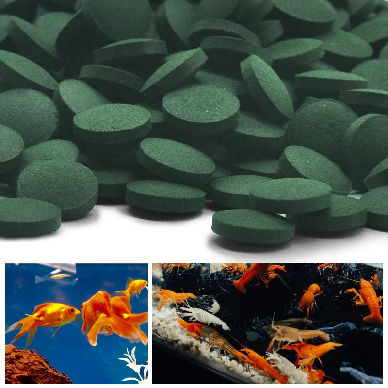 Aquarium Fish Holiday Food - 100pcs High Purity Spirulina Tablets Spiral