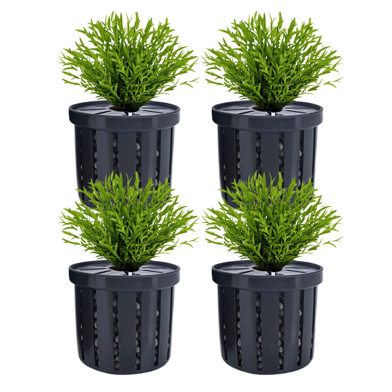 Aquarium Fish Restaurant - 4pcs Aquarium Plant Holder Basket Stable