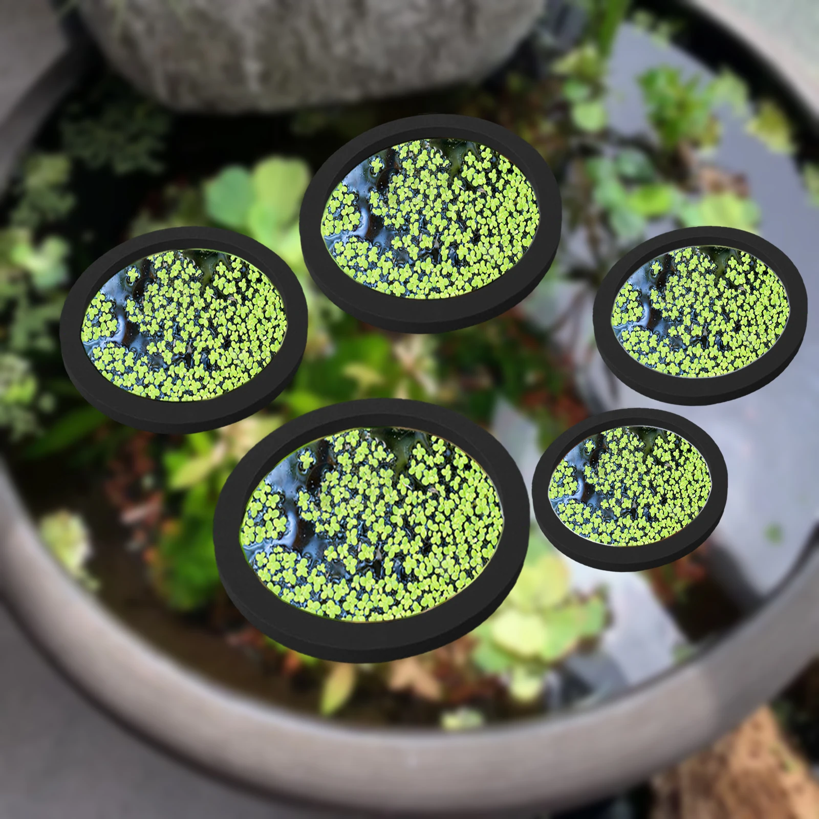 Aquarium Fish Breeding - 5Pcs EVA Fish Feeding Ring Aquarium