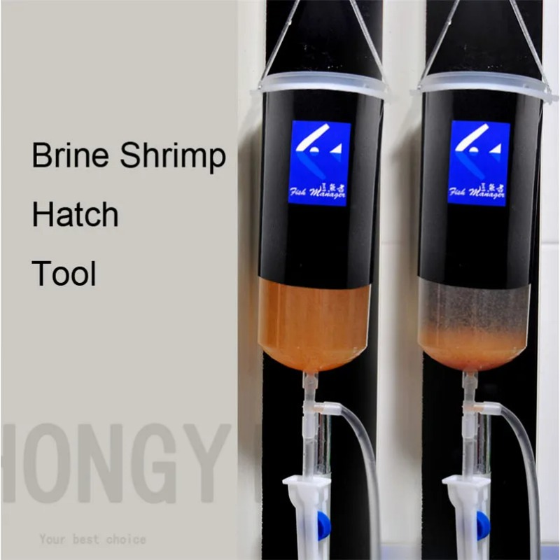 Aquarium Fish Holiday Food - Fairy shrimp egg artemia alive easy