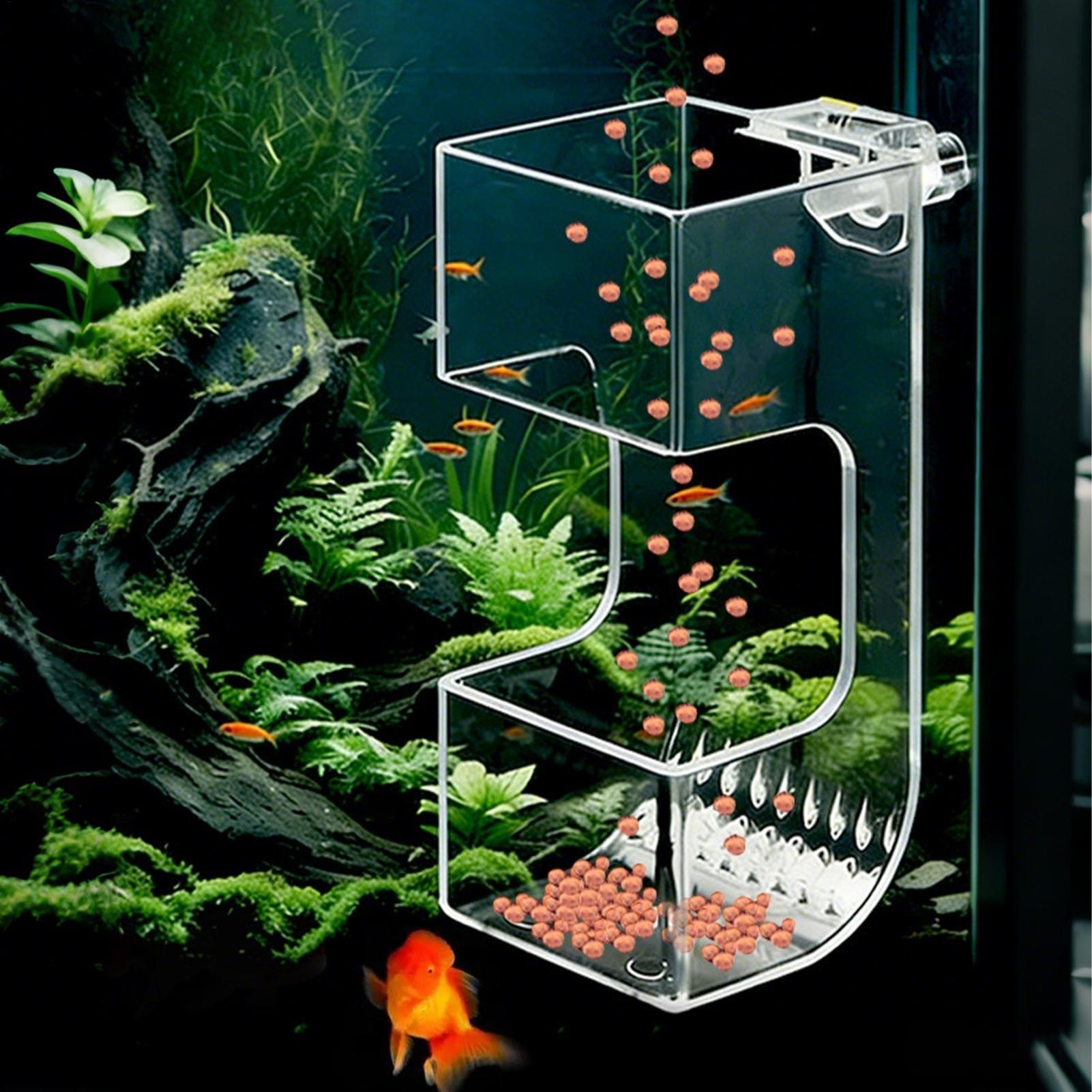 Aquarium Fish Holiday Food - Aquarium Fish Feeder Box Transparent Food