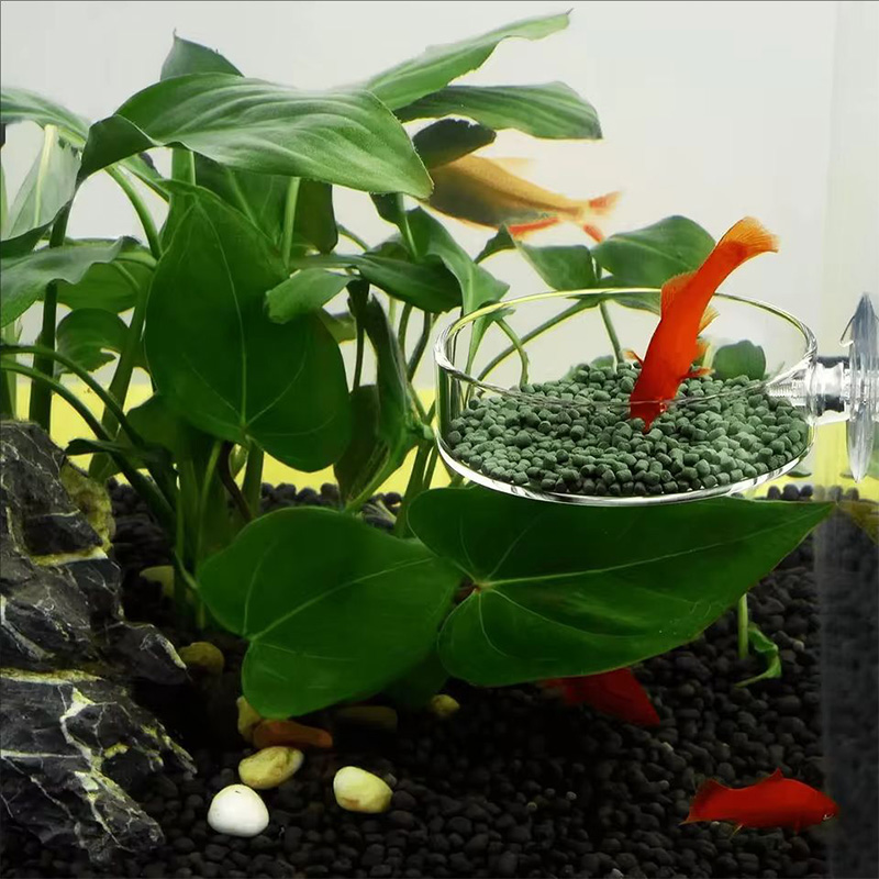 Aquarium Fish Holiday Food - Transparent Acrylic Transparent Fish Feeder With