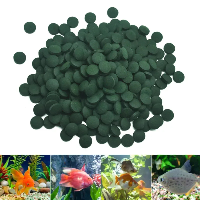50-400 Pcs High Purity Spiruli - Aquarium Fish Holiday Food recension och pris