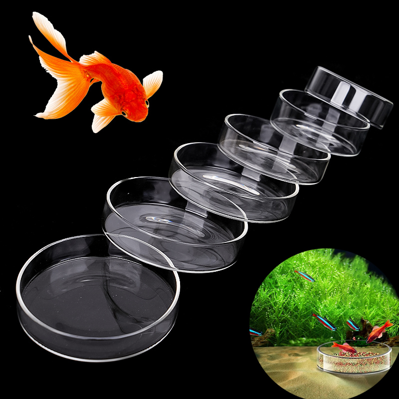 Aquarium Feeding Bowl Fish Tan - Aquarium Fish Holiday Food recension och pris