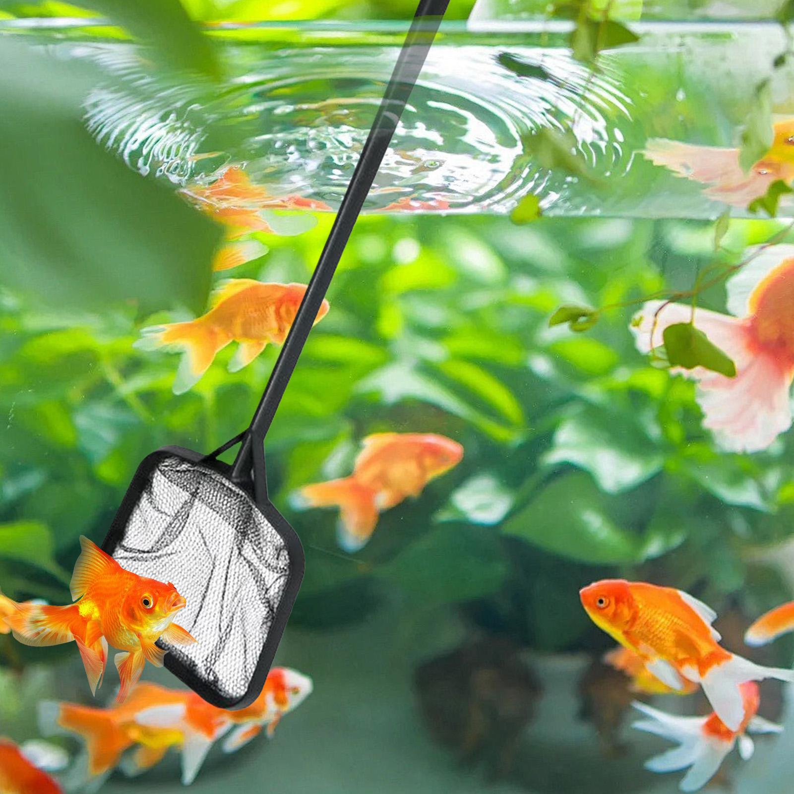 Pool Nets for Cleaning Portabl - Aquarium Fish Breeding recension och pris