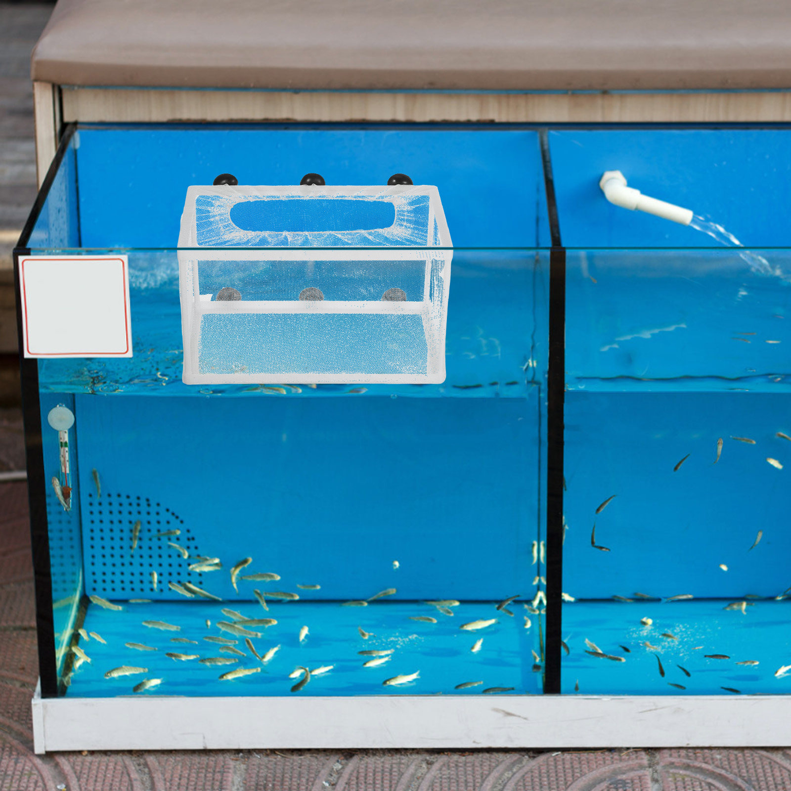 Aquarium Fish Net Hatchery Box - Aquarium Fish Big Size recension och pris