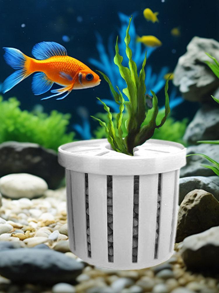 4pcs Aquarium Plant Holder Bas - Aquarium Fish Restaurant recension och pris