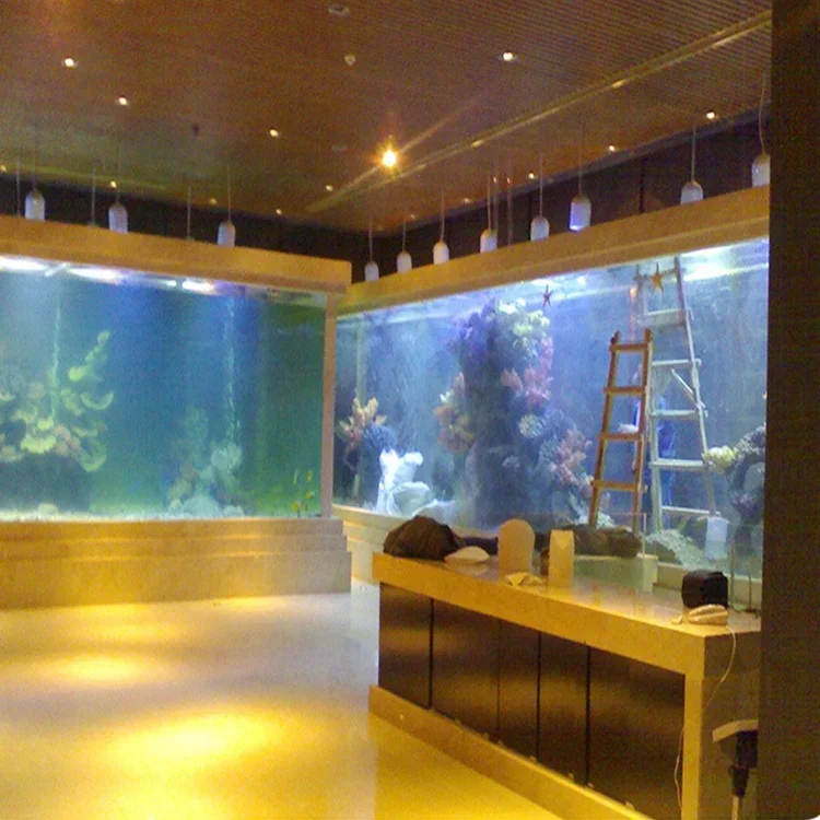 l Acrylic Big Fish Tank Rectan - Aquarium Fish Big Size recension och pris