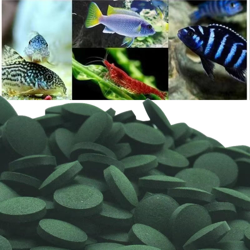 50/100/300/500pcs Spirulina Ta - Aquarium Fish Holiday Food recension och pris