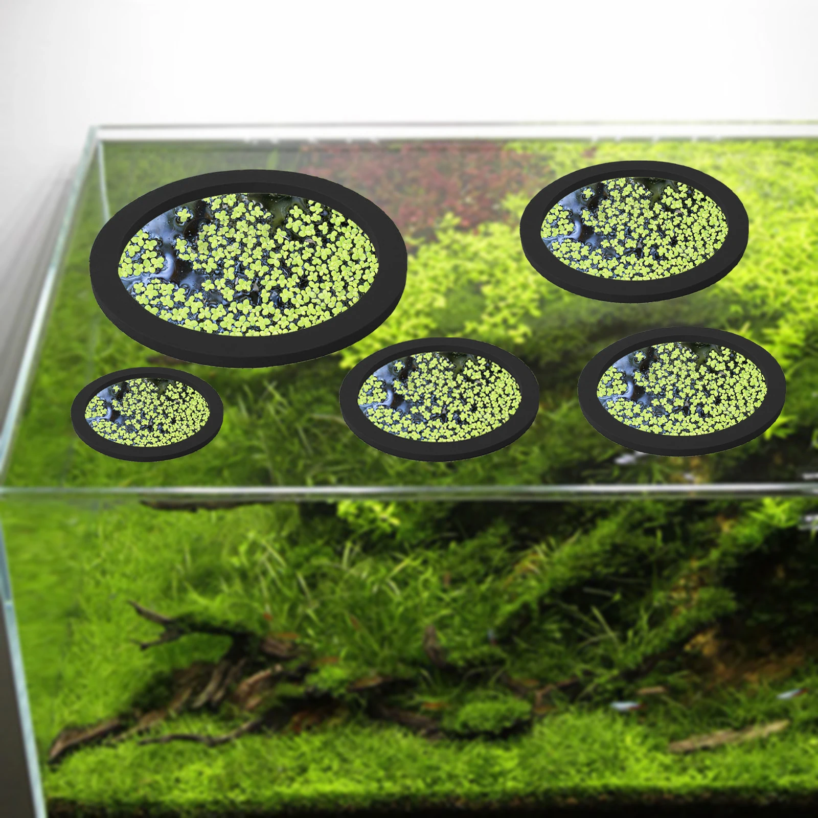 5Pcs EVA Fish Feeding Ring Aqu - Aquarium Fish Breeding recension och pris