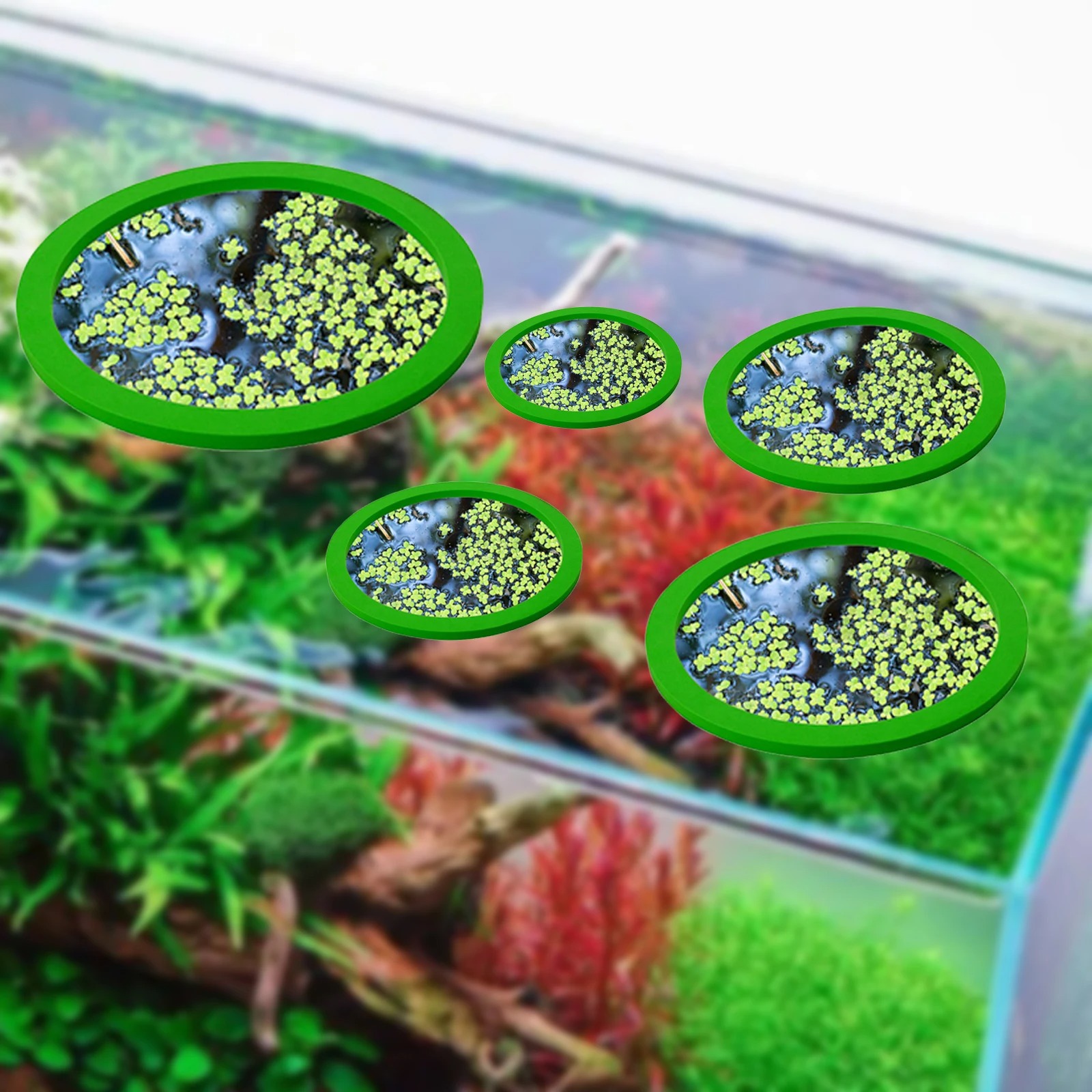 5Pcs EVA Fish Feeding Ring Aqu - Aquarium Fish Breeding recension och pris