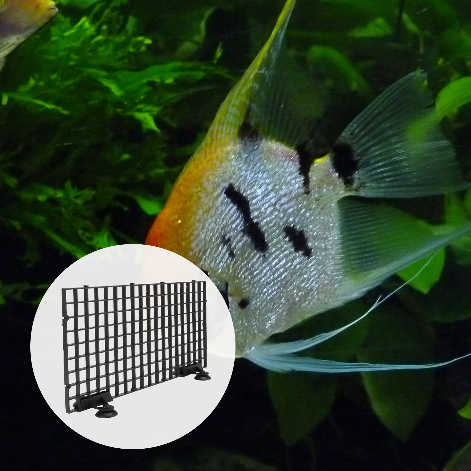 Big Size Fish Breeder Net Hatc - Aquarium Fish Big Size recension och pris
