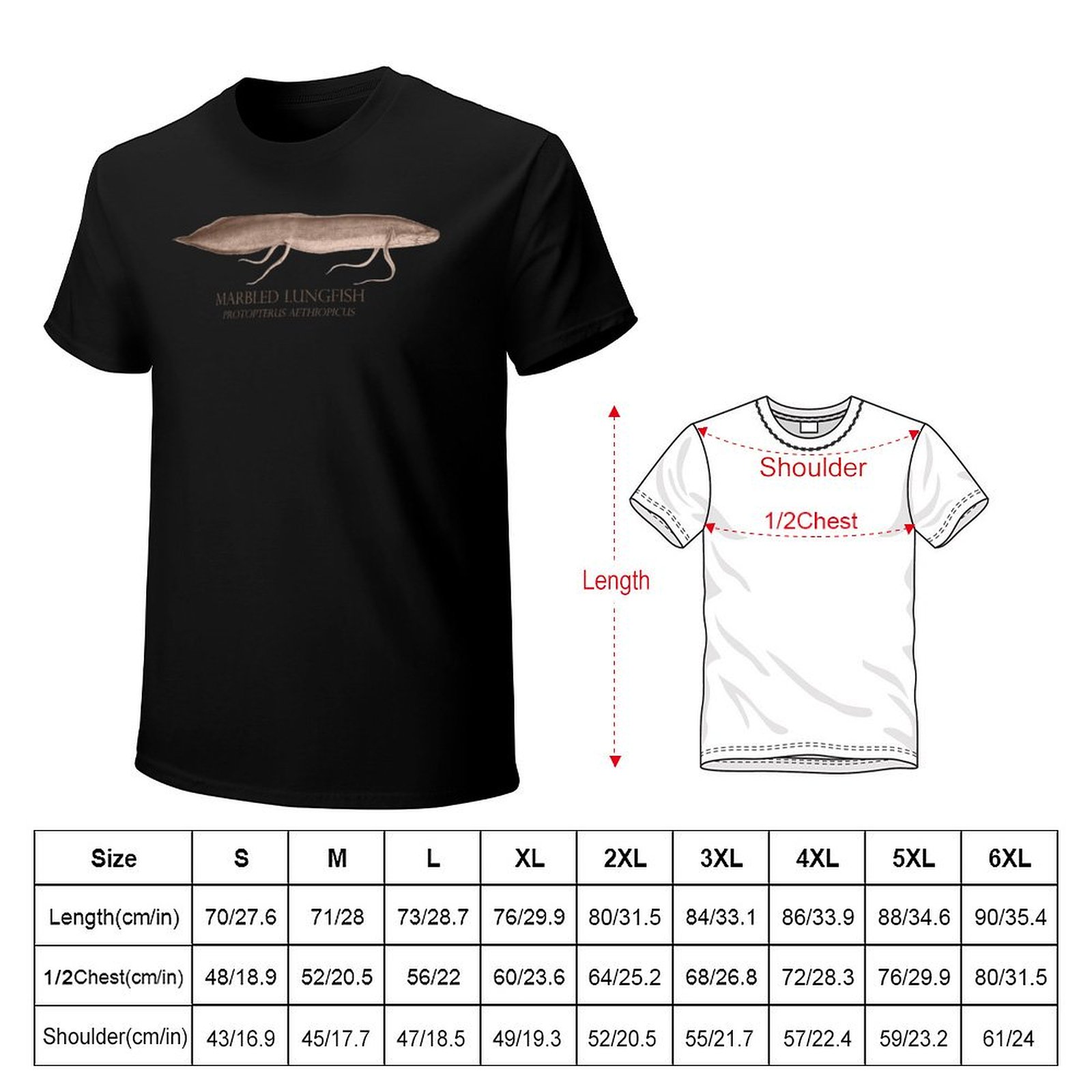 Lungfish Protopterus Aquarium  - Aquarium Fish Monster recension och pris