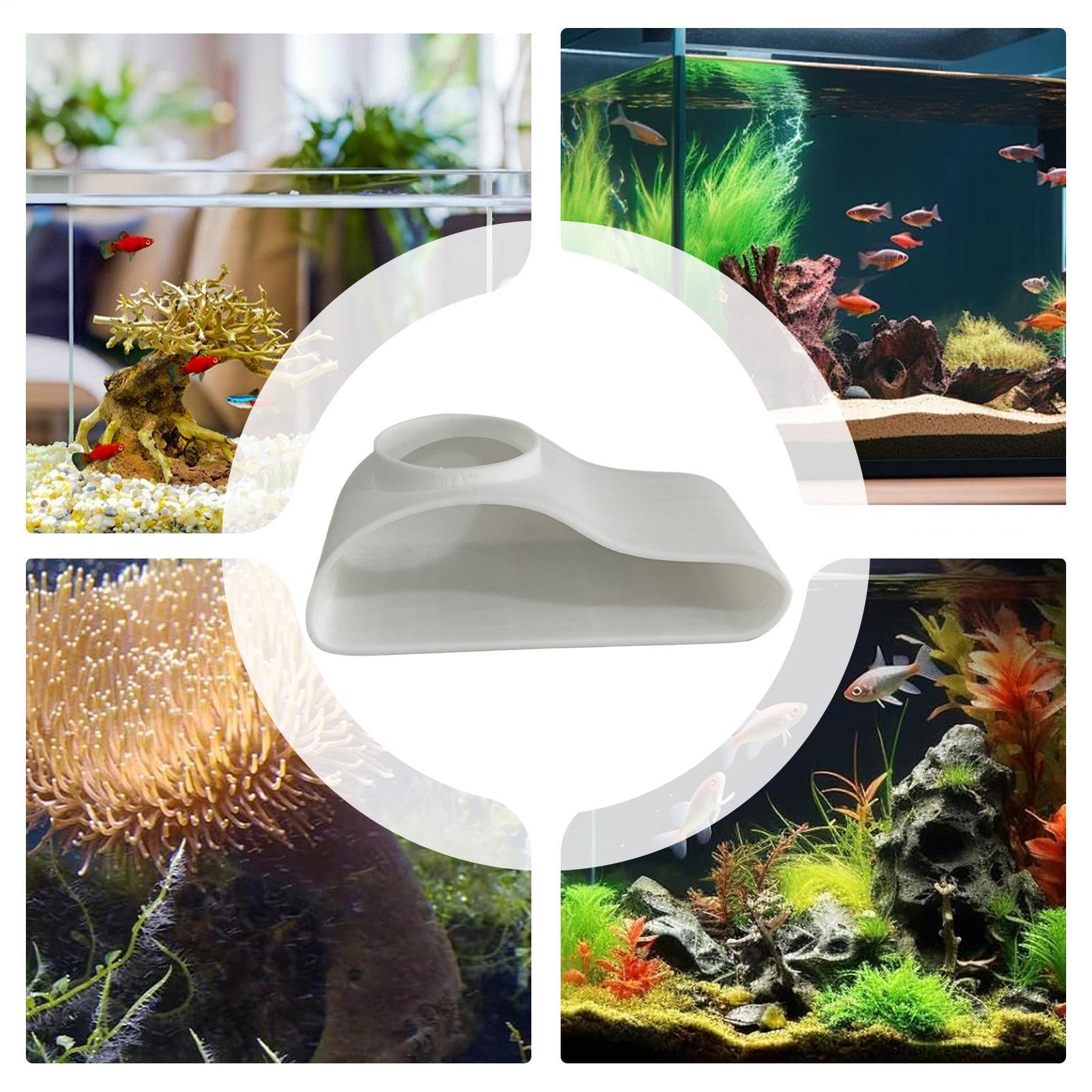 Aquarium Underground Tunnel Ca - Aquarium Fish Restaurant recension och pris
