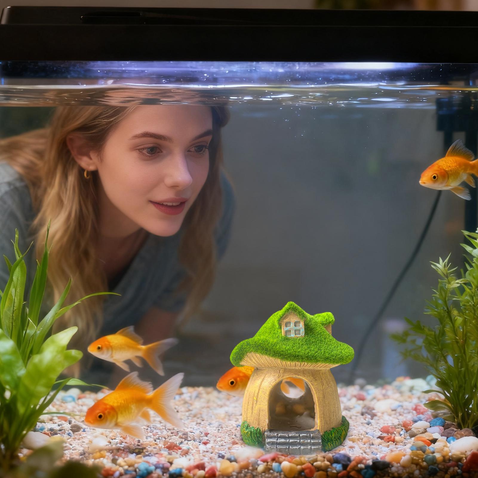 Aquarium Statue Under Water Sc - Aquarium Fish Restaurant recension och pris