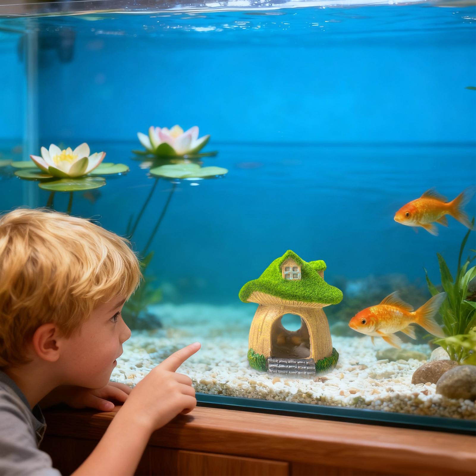Aquarium Statue Under Water Sc - Aquarium Fish Restaurant recension och pris