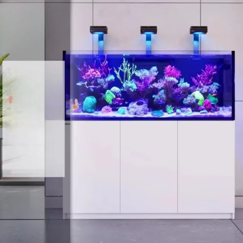Modern luxury glass refrigerat - Aquarium Fish Restaurant recension och pris