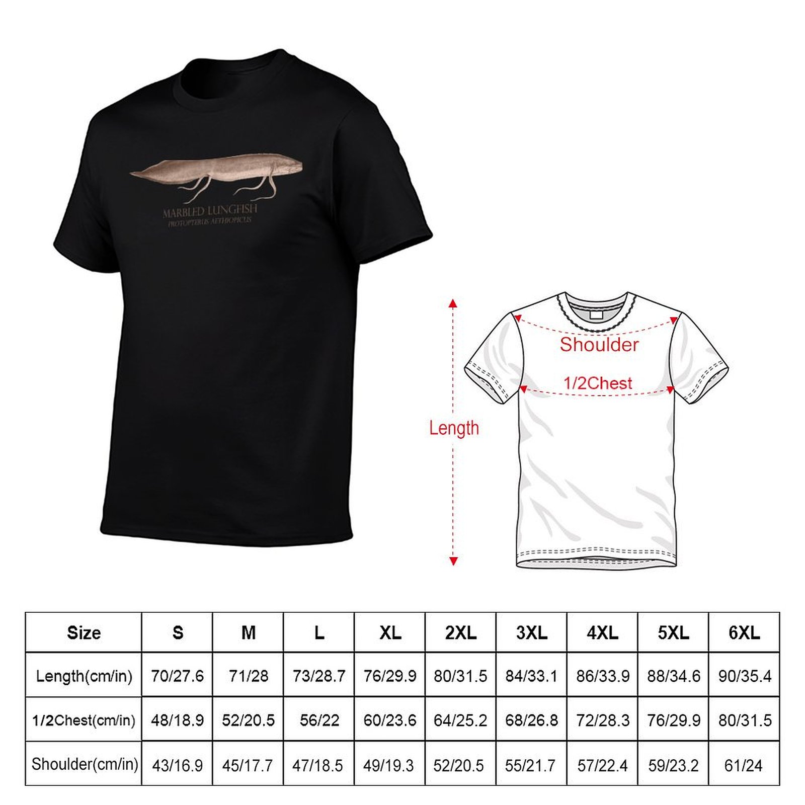 Lungfish Protopterus Aquarium  - Aquarium Fish Monster recension och pris