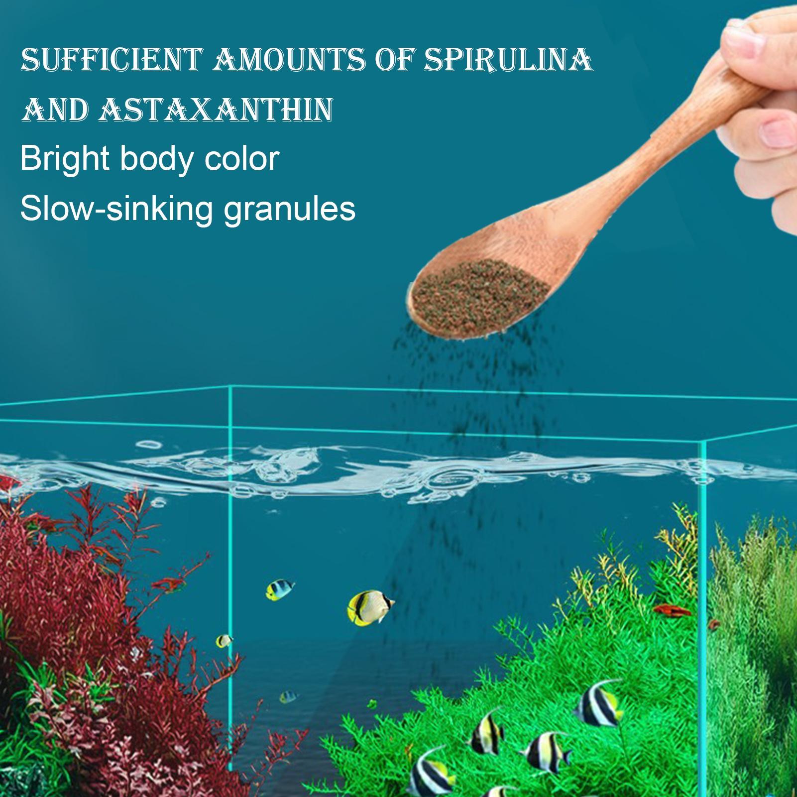 Aquarium Fish Food Betta Feed  - Aquarium Fish Restaurant recension och pris