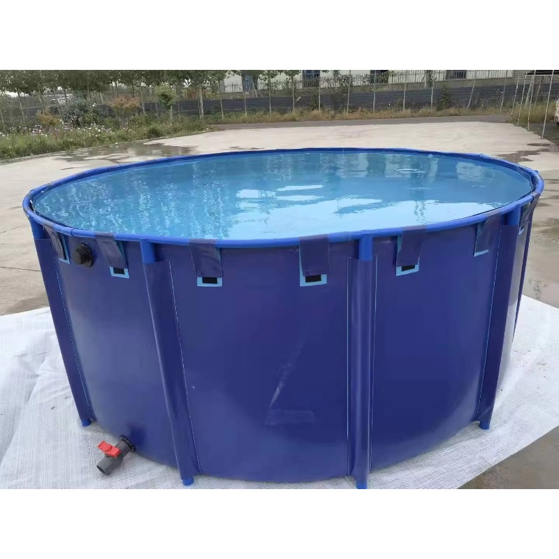 Wholesale Custom Outdoor Large - Aquarium Fish Big Size recension och pris