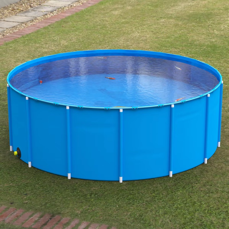 Wholesale Custom Outdoor Large - Aquarium Fish Big Size recension och pris