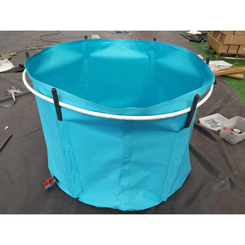 Wholesale Custom Outdoor Large - Aquarium Fish Big Size recension och pris