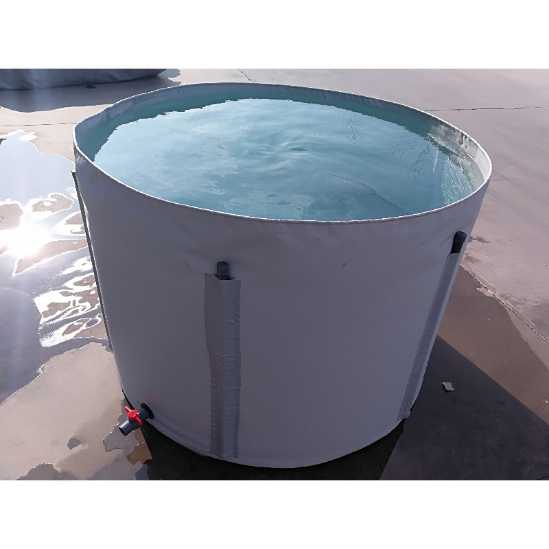 Wholesale Custom Outdoor Large - Aquarium Fish Big Size recension och pris