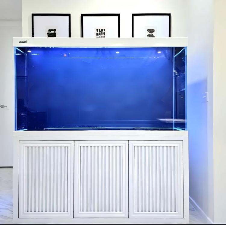 Big Size Aquarium Fish Tank La - Aquarium Fish Big Size recension och pris