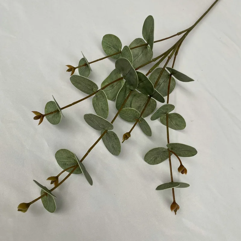 5Pc Fake Green Plants 3D Print - Background Film 3D recension och pris