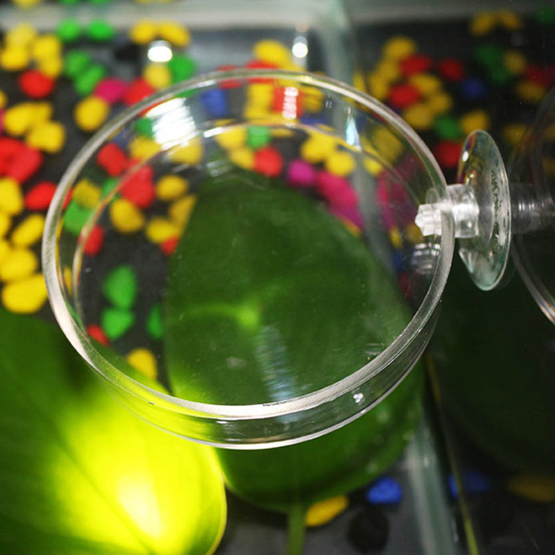 Transparent Acrylic Transparen - Aquarium Fish Holiday Food recension och pris