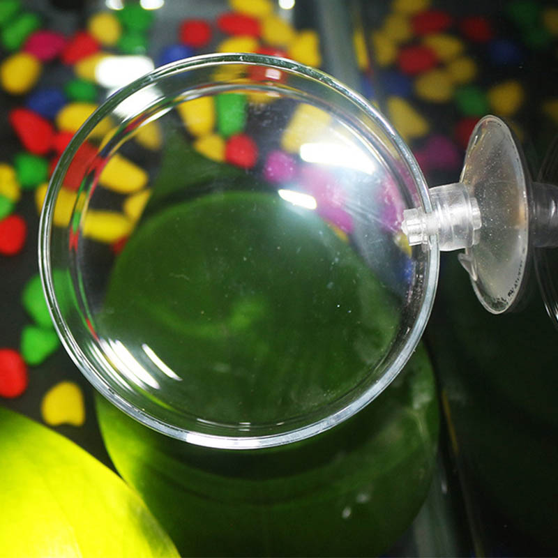 Transparent Acrylic Transparen - Aquarium Fish Holiday Food recension och pris